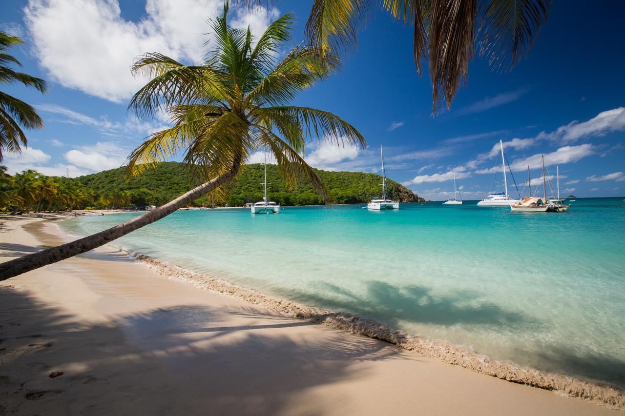 Salt Whistle Bay Retreat 호텔 Mayreau Island 외부 사진